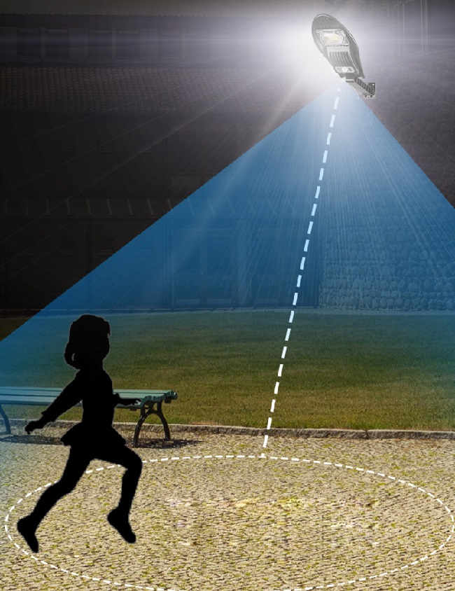 Solar S/42 Solární zahradní lampa 42x LED čistá bílá